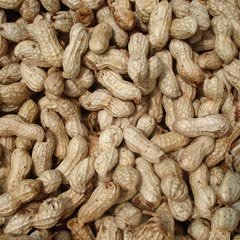 Описание: peanut cleaner
