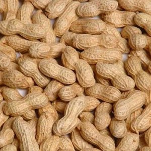 жареный арахис в скорлупе продам