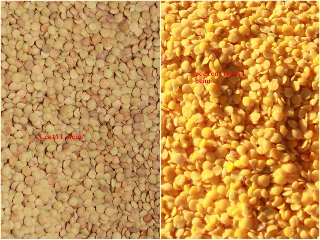 lentil bean peeling effect-TK