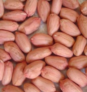 Продам арахис ядрами