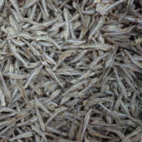 Anchovy AL