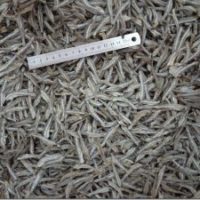 Anchovy-AL-300×225[1]