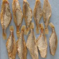 dried-red-big-eyes-headless-300×300[1]