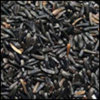 Niger Seeds