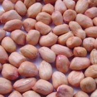 peanut-kernels