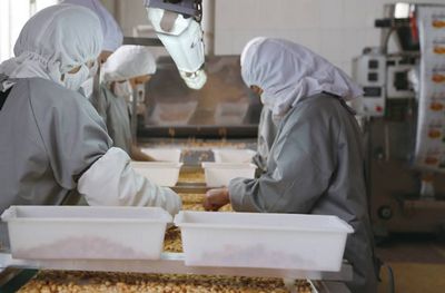 Завод по производству арахиса () Завод по производству арахиса, продаем, производим, лучшие цены