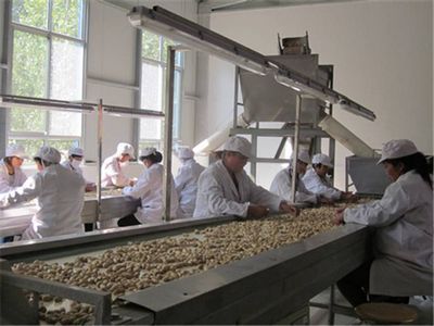 Завод по производству арахиса () Завод по производству арахиса, продаем, производим, лучшие цены