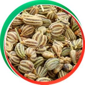 Ajwain
