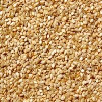 Hulled-Sesame-Seeds[1]