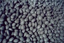 coal briquette