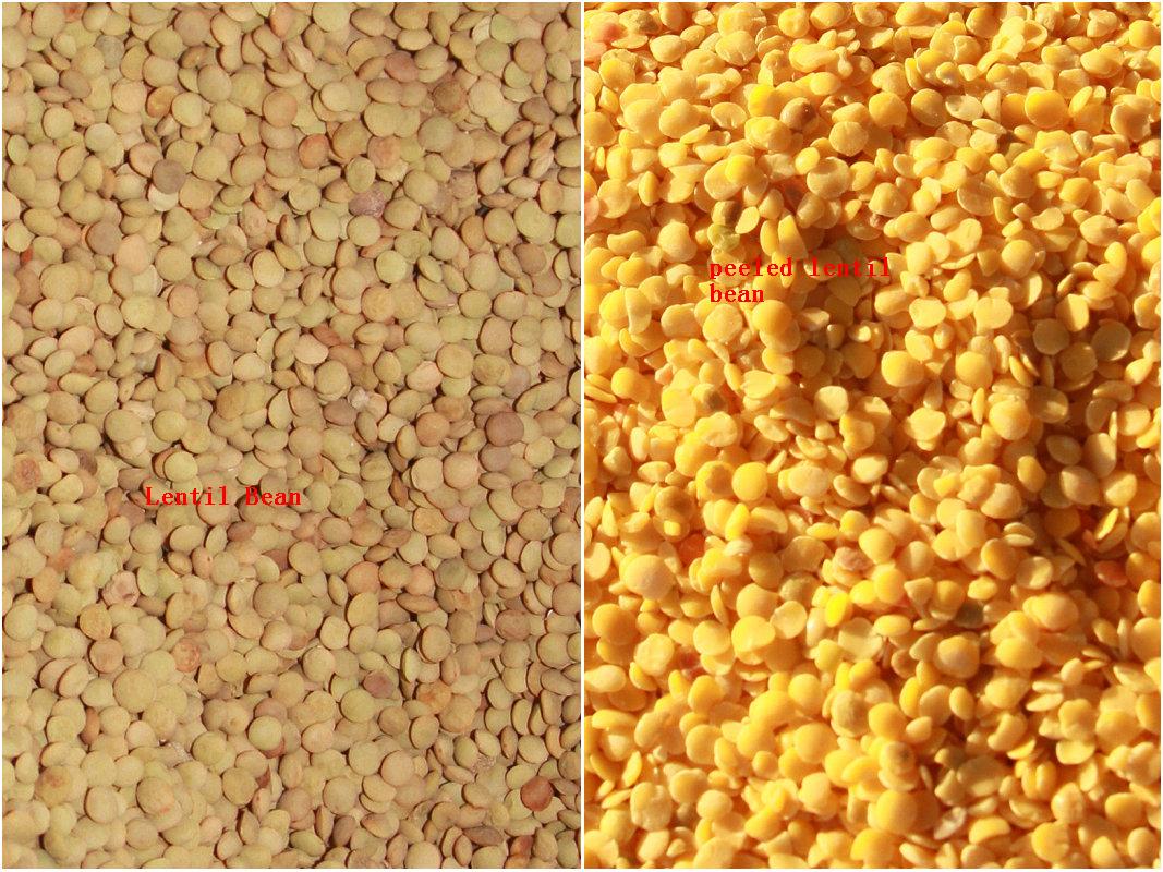 lentil bean peeling effect-TK