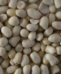peanut-blanched-round
