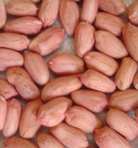 Продам арахис ядрами