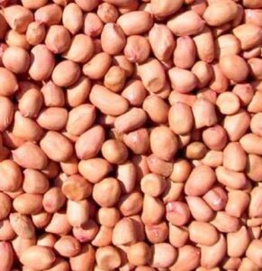 Продам арахис оптом от производителя