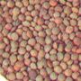 Арахис, сухофрукты, сушеный кальмар, морепродукты из Китая