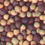 Арахис, сухофрукты, сушеный кальмар, морепродукты из Китая