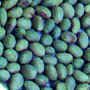 Арахис, сухофрукты, сушеный кальмар, морепродукты из Китая