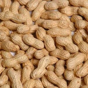 жареный арахис в скорлупе продам