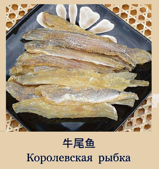 Королевская рыбка