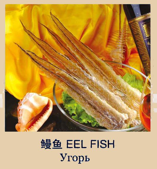 Угорь