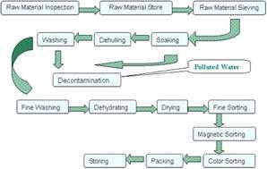 Описание: hulled sesame seed flowchart